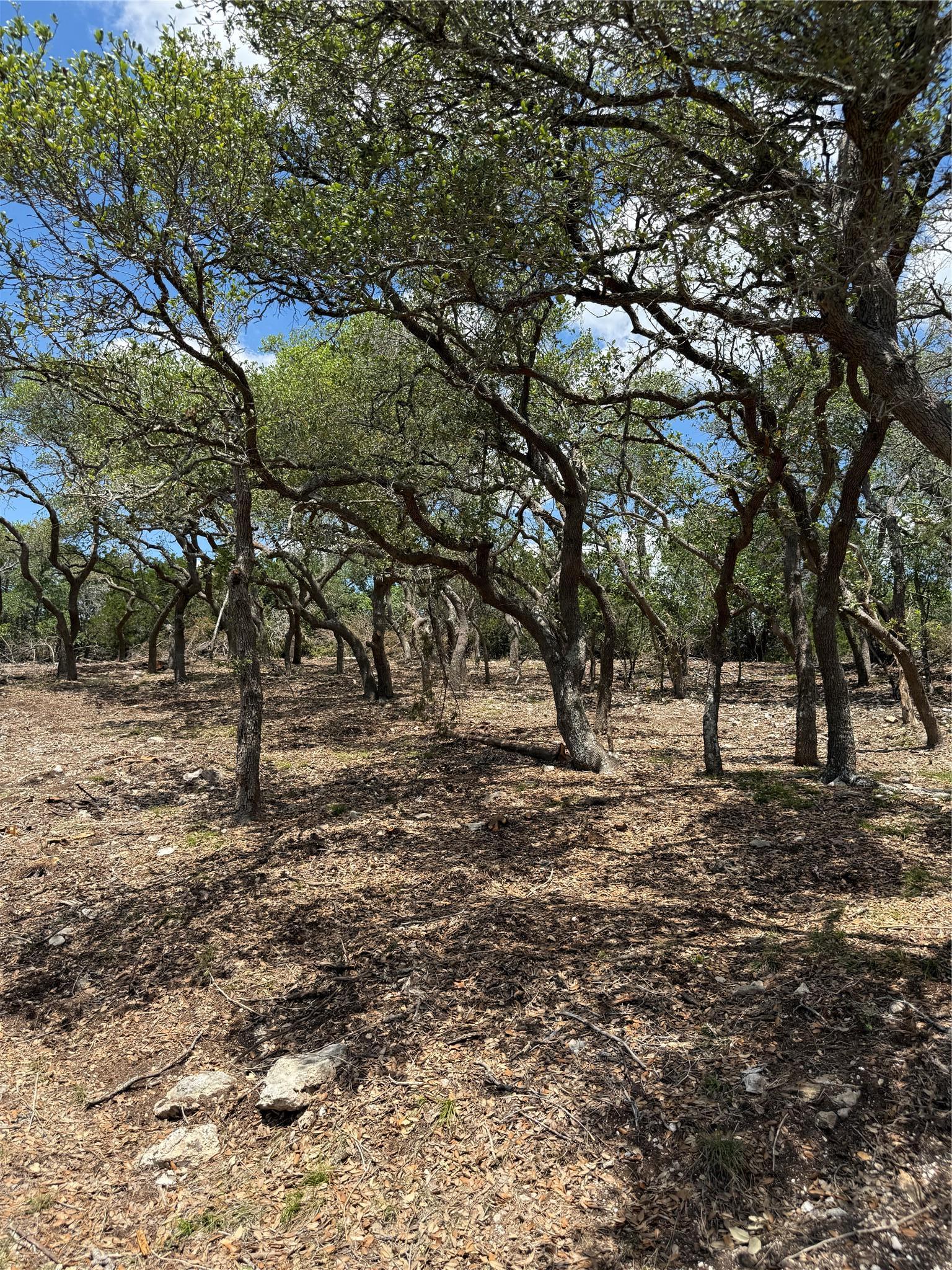 0 Altwein Road 17.91 Acres Altwein Road Blanco TX 78606