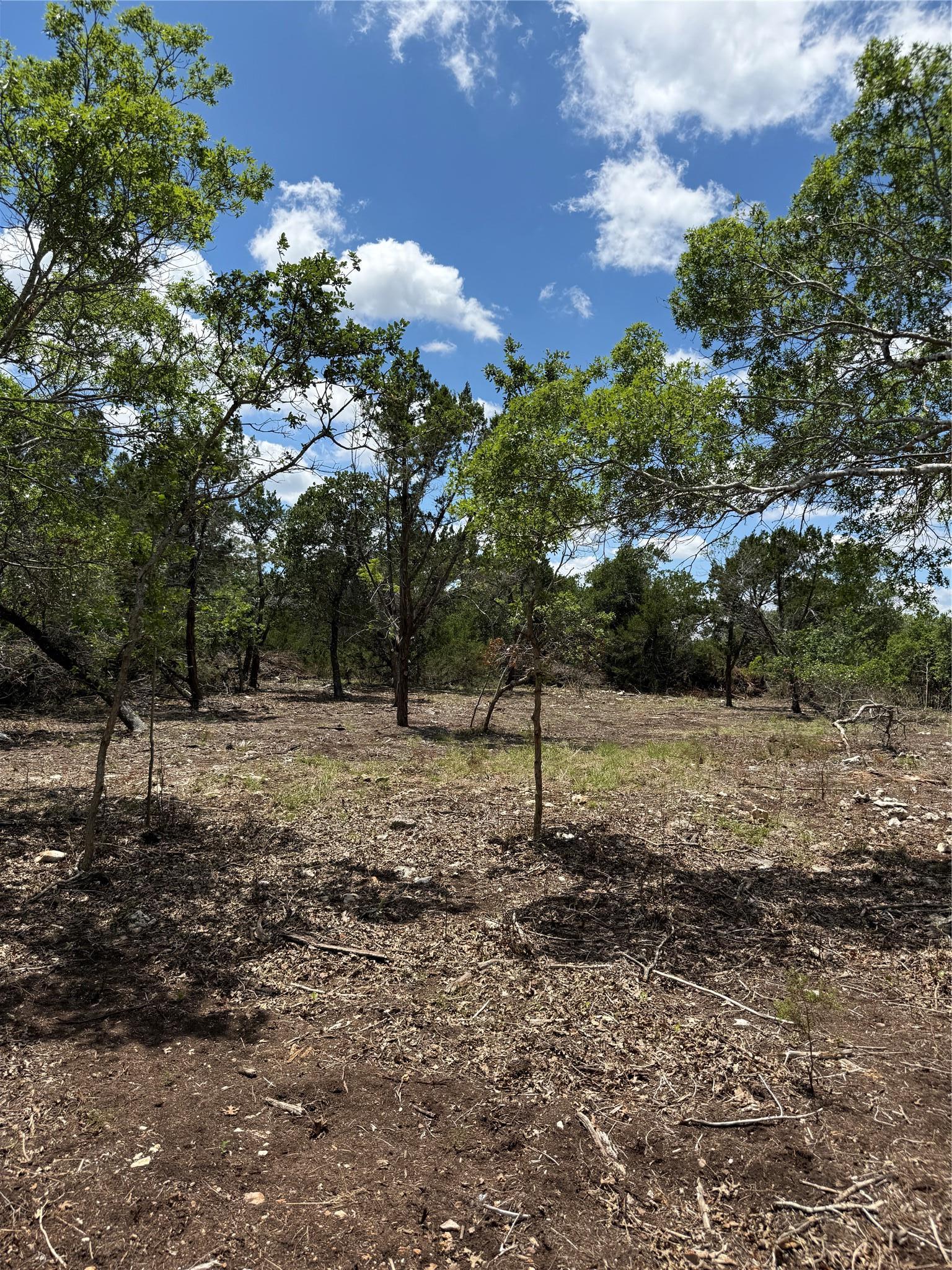 0 Altwein Road 17.91 Acres Altwein Road Blanco TX 78606