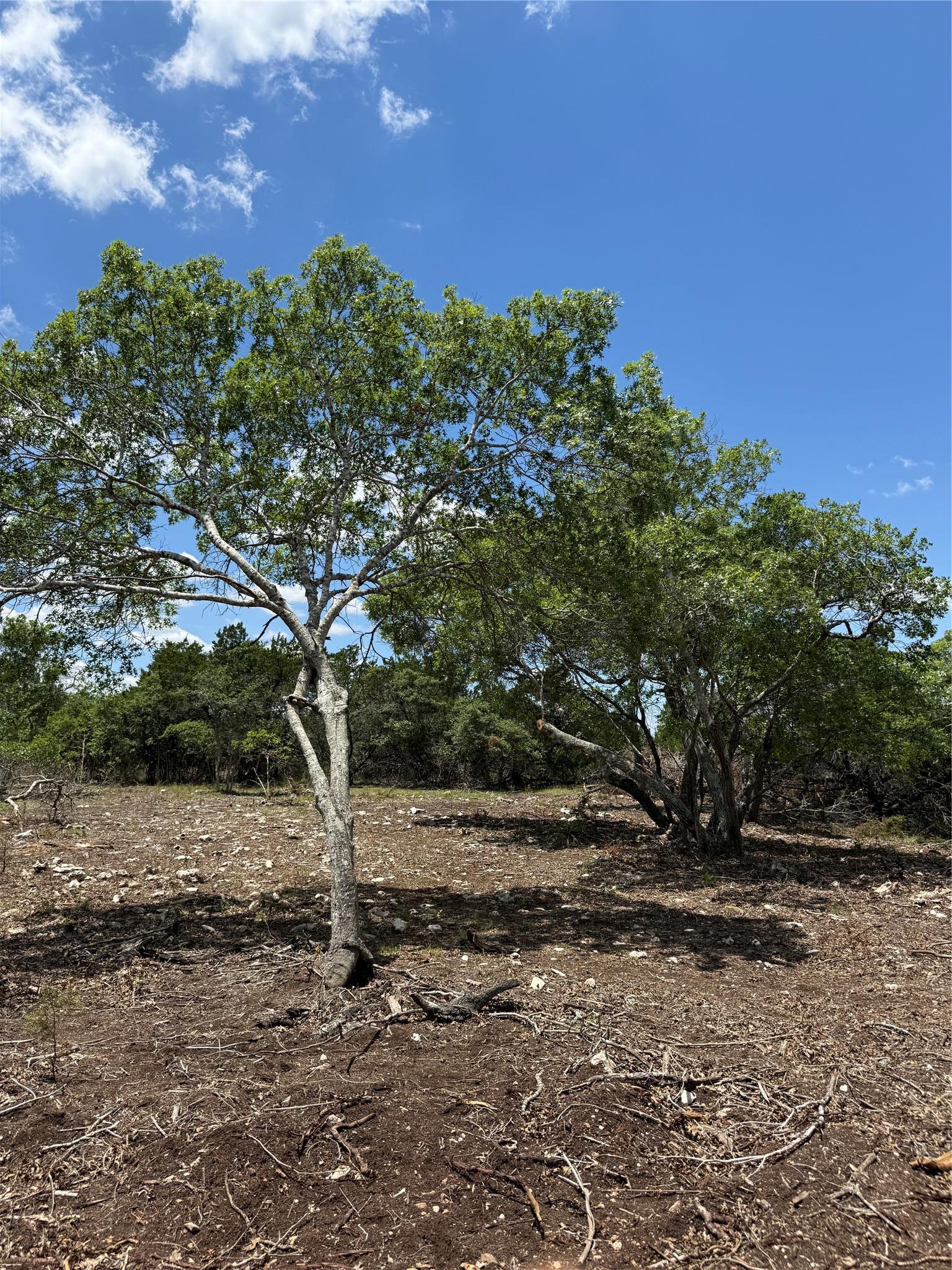 0 Altwein Road 17.91 Acres Altwein Road Blanco TX 78606