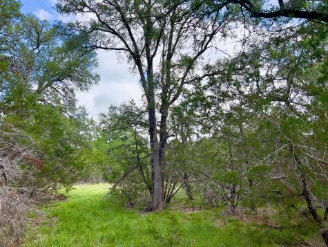 43 Narrows Road Blanco TX 78606