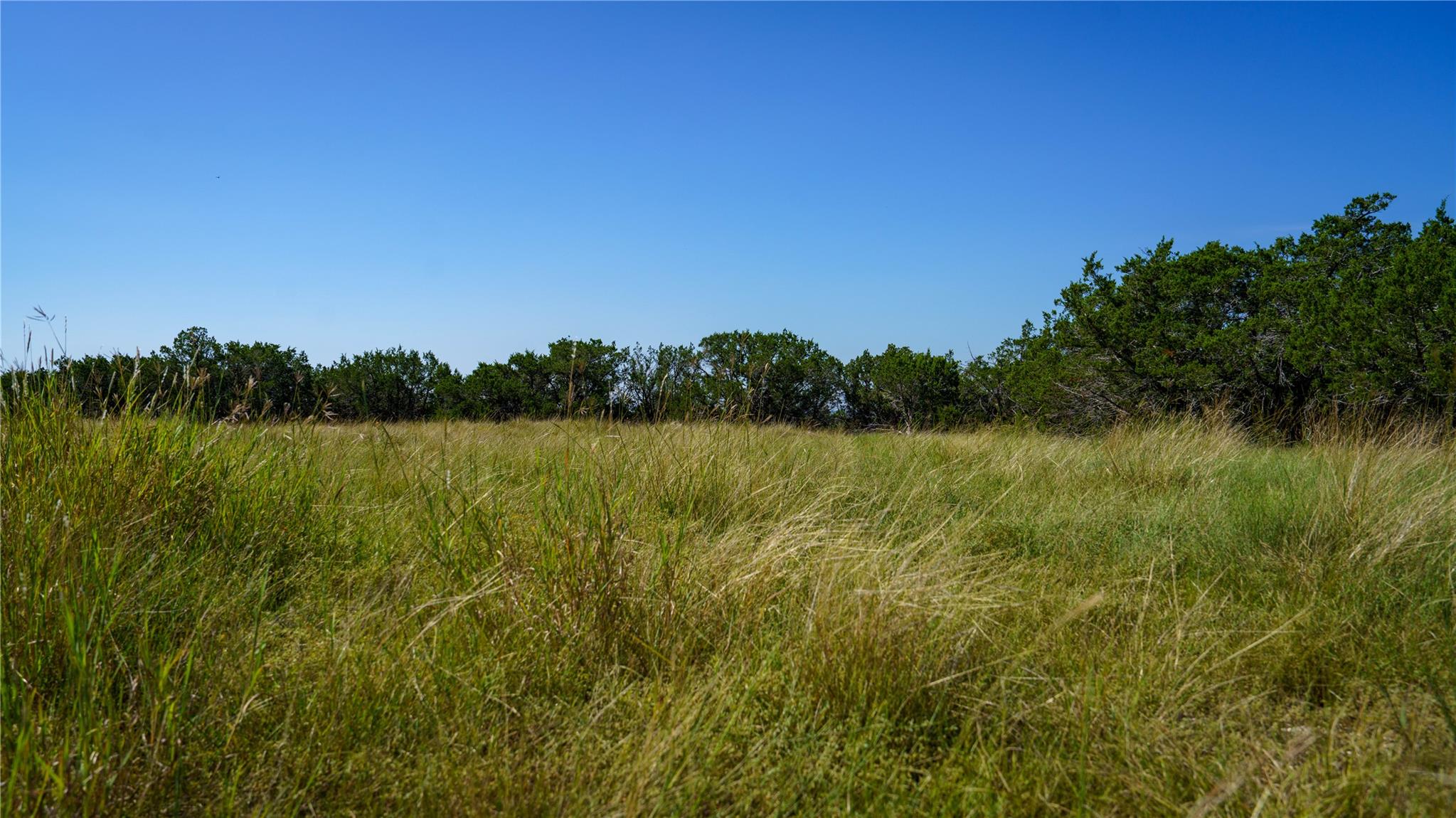 150 Branched Out Trail Kerrville TX 78028