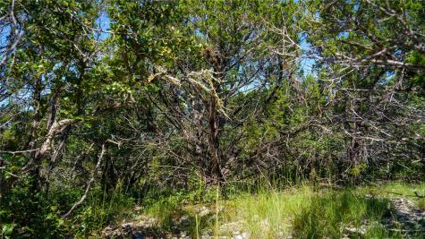 150 Branched Out Trail Kerrville TX 78028