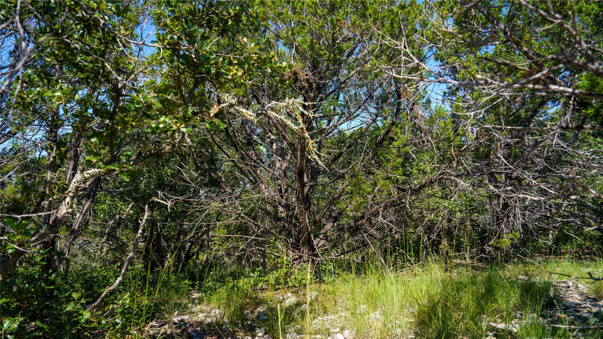 150 Branched Out Trail Kerrville TX 78028