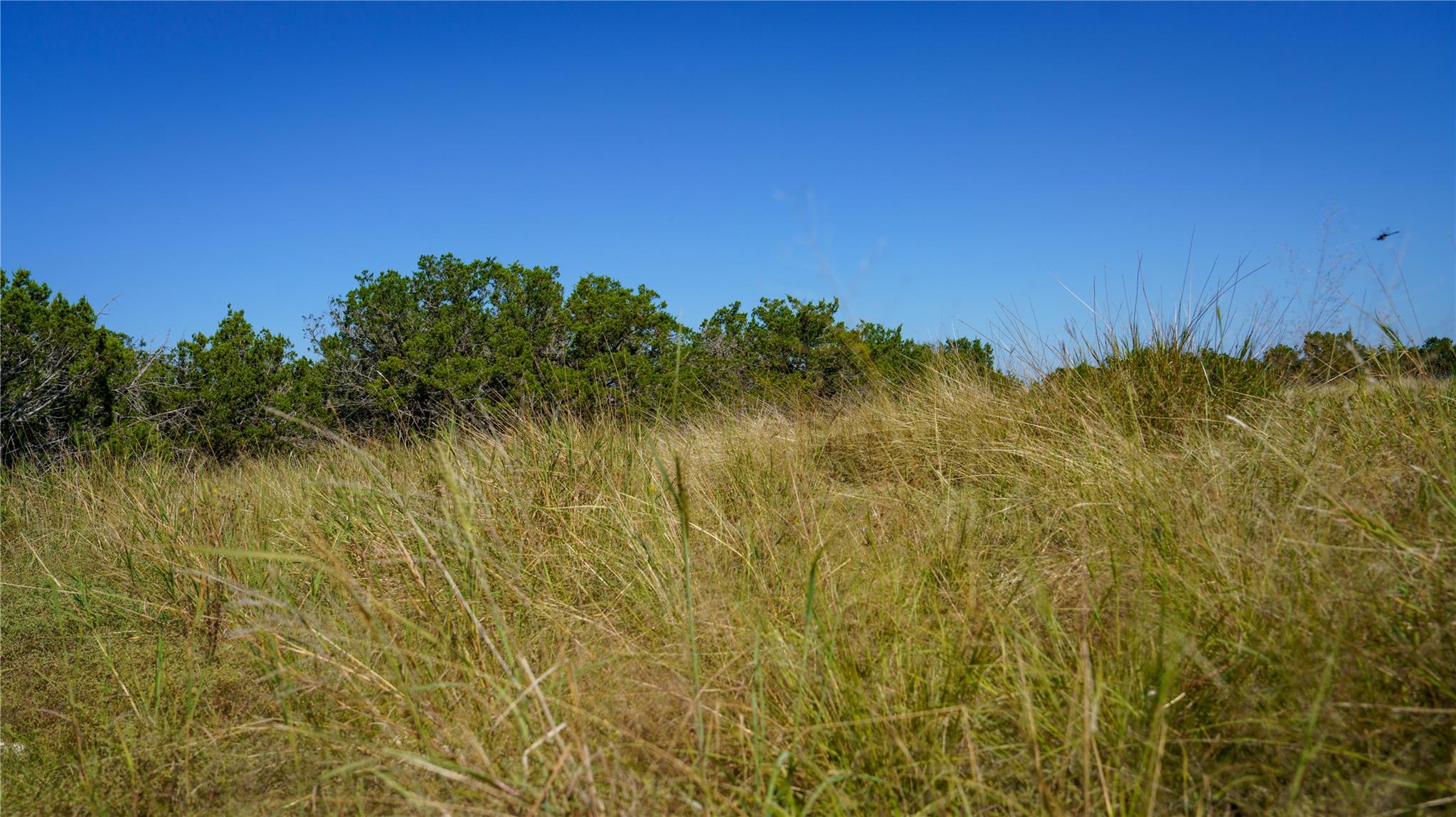 150 Branched Out Trail Kerrville TX 78028