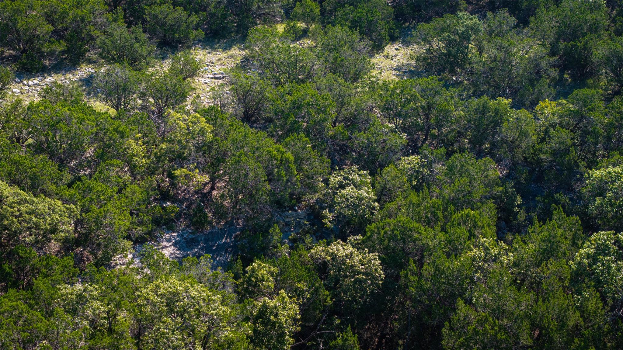 150 Branched Out Trail Kerrville TX 78028