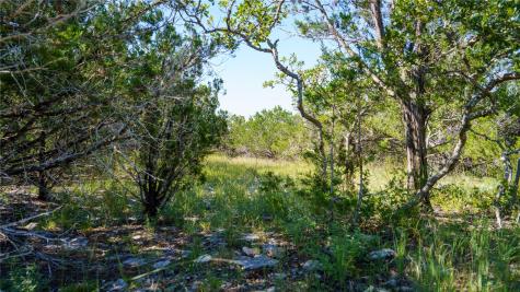 150 Branched Out Trail Kerrville TX 78028