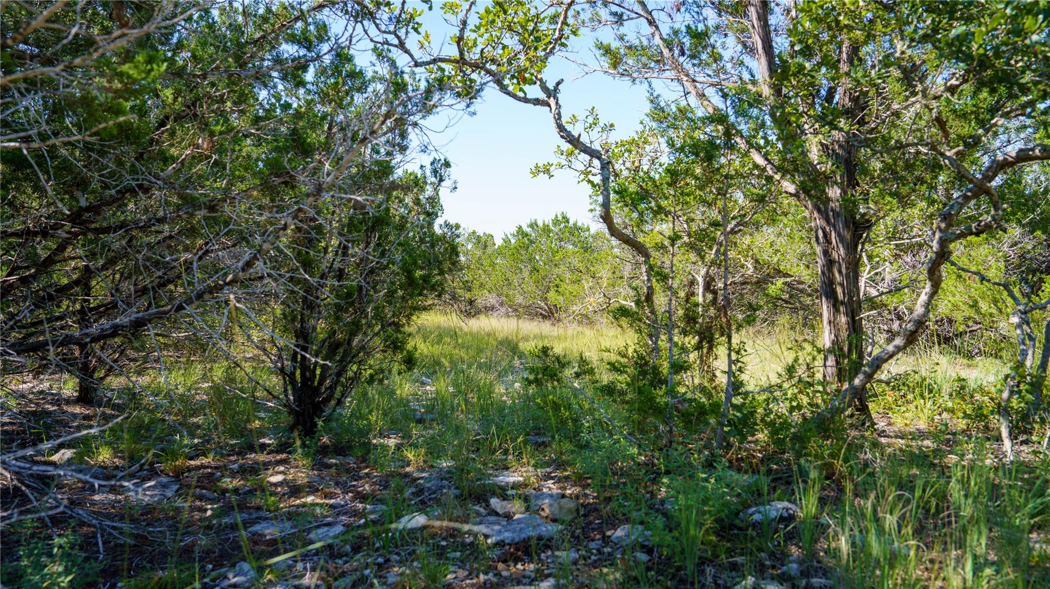 150 Branched Out Trail Kerrville TX 78028