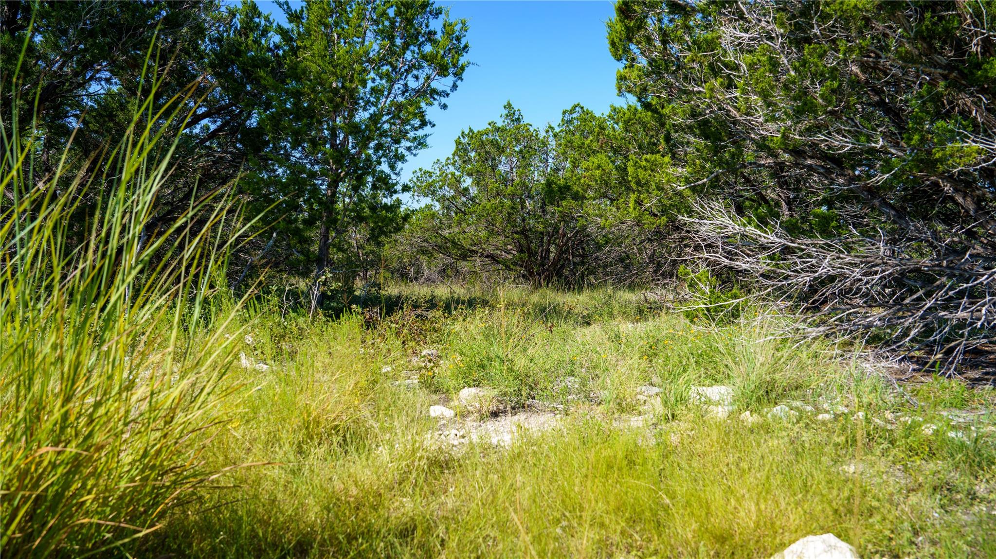 150 Branched Out Trail Kerrville TX 78028