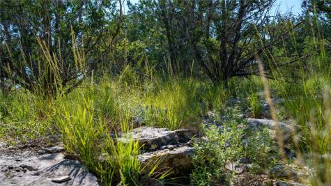 150 Branched Out Trail Kerrville TX 78028