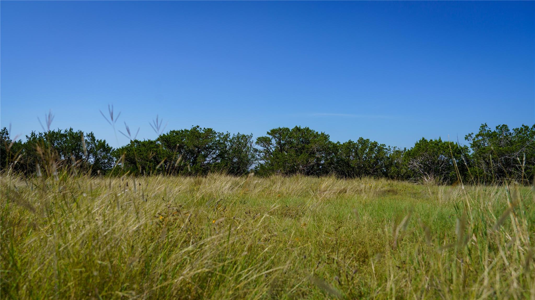 150 Branched Out Trail Kerrville TX 78028