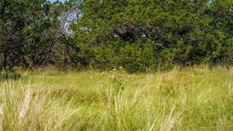 150 Branched Out Trail Kerrville TX 78028