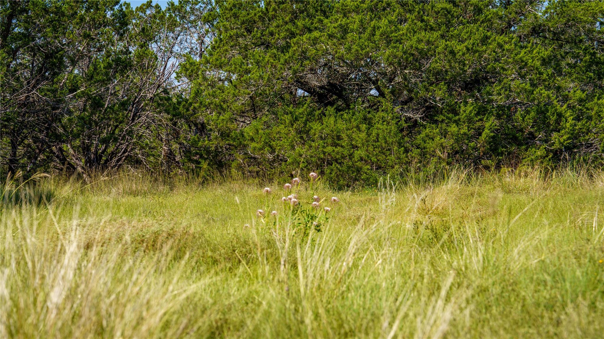 150 Branched Out Trail Kerrville TX 78028