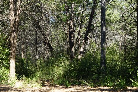 1135 Private Road 7039 Lexington TX 78947