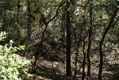 1135 Private Road 7039 Lexington TX 78947