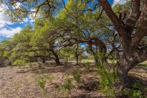 9939 County Road 404 Spicewood TX 78669