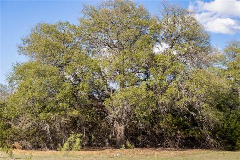 9939 County Road 404 Spicewood TX 78669