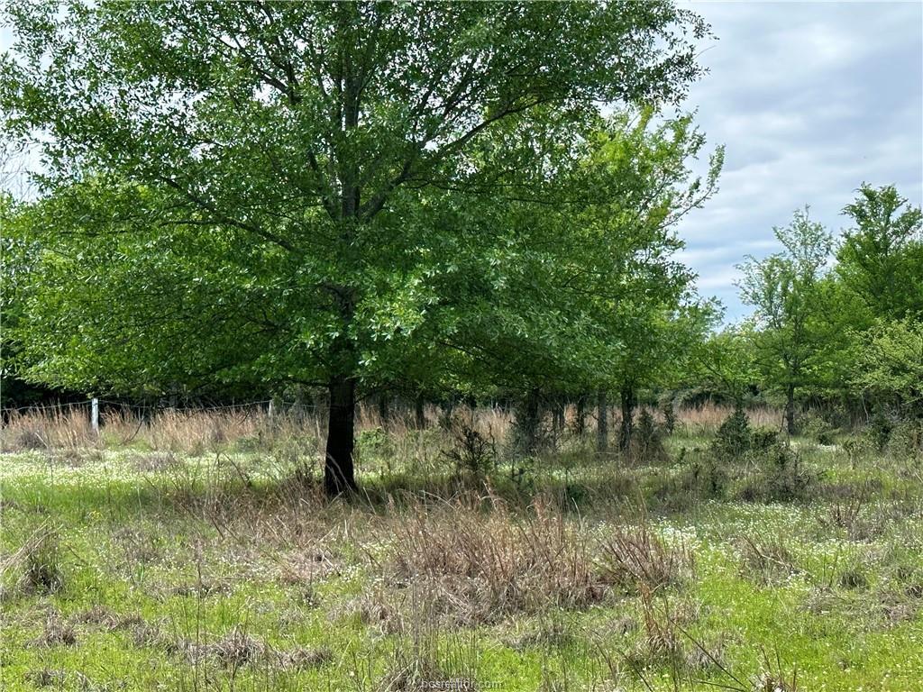 00 Hickory Loop Road Thornton TX 76687
