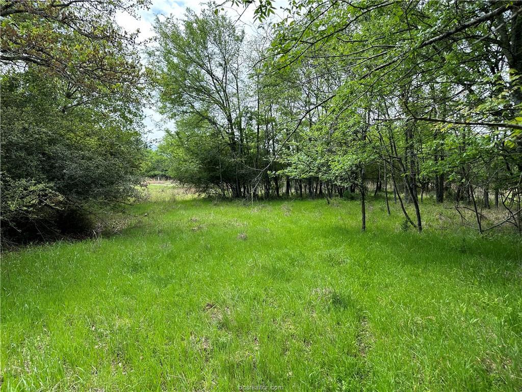 00 Hickory Loop Road Thornton TX 76687