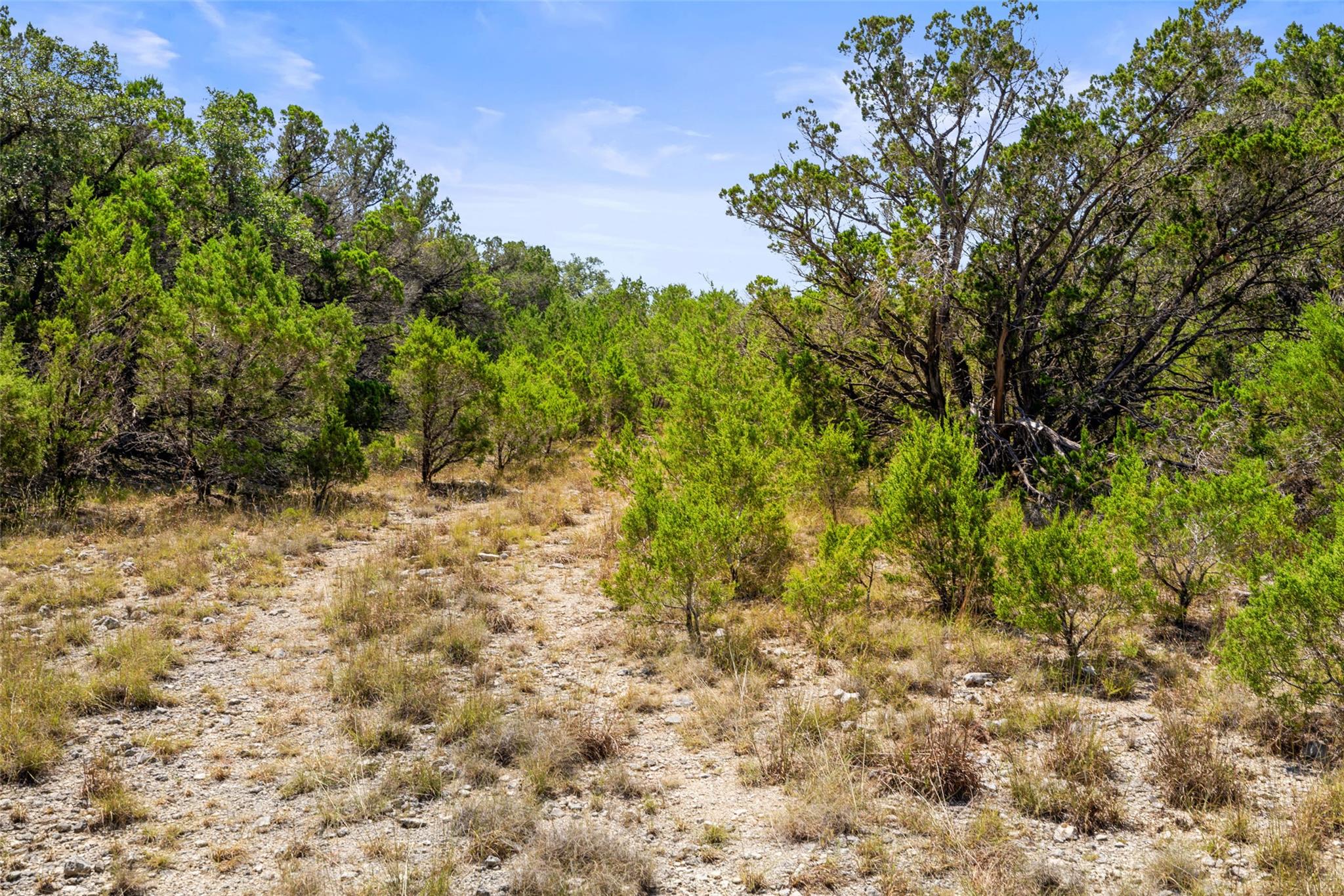 Tbd Lipan Run Tract 2 Fischer TX 78623