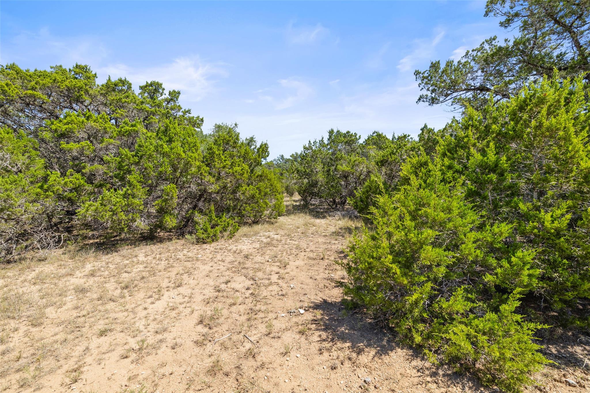 Tbd Lipan Run Tract 2 Fischer TX 78623