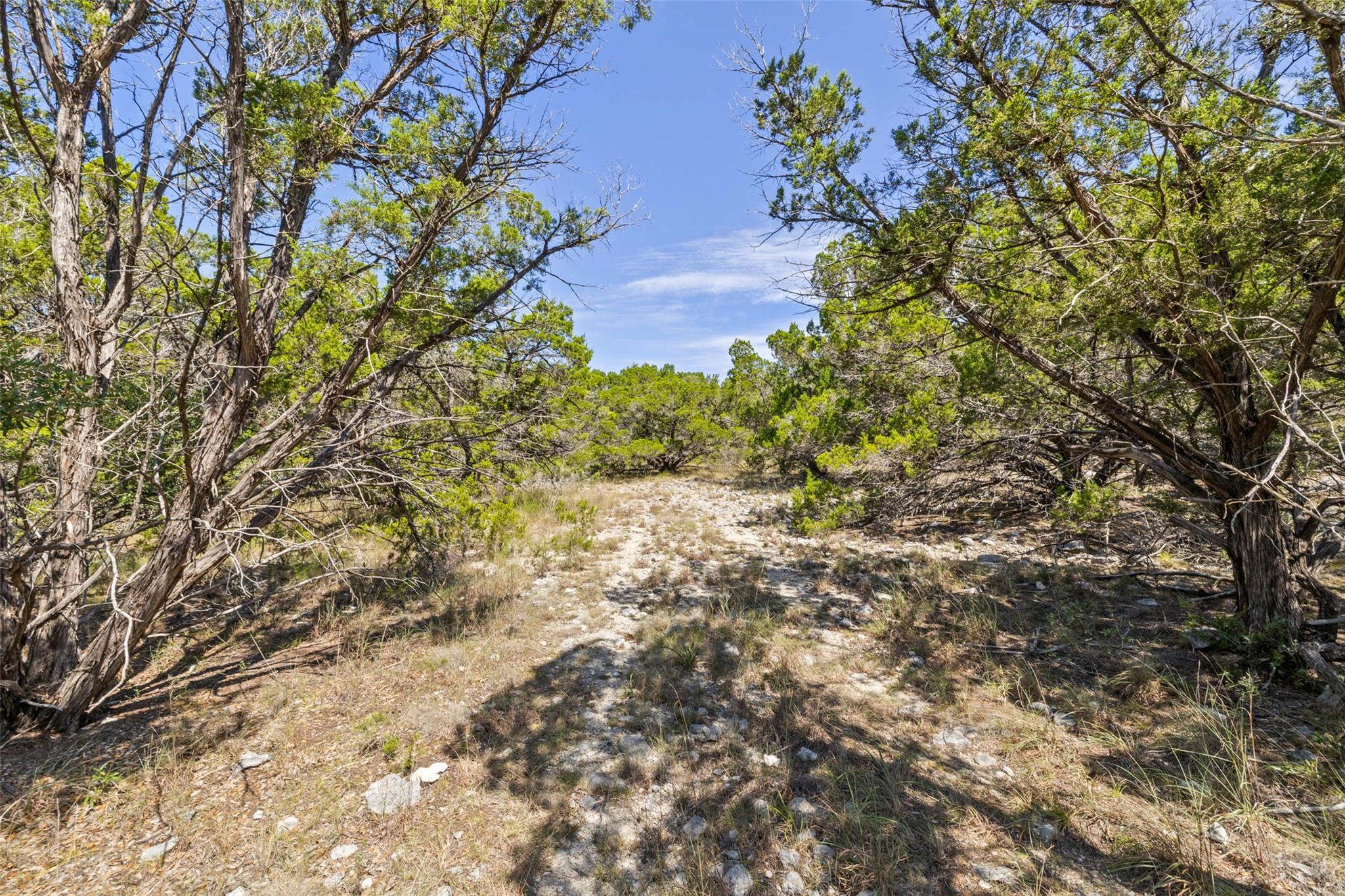 Tbd Lipan Run Tract 2 Fischer TX 78623
