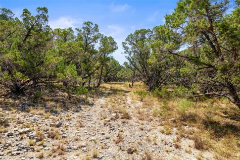 Tbd Lipan Run Tract 2 Fischer TX 78623