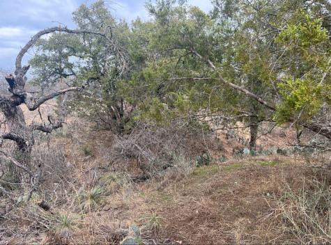 Lot 262 W Briarway Drive Granite Shoals TX 78654