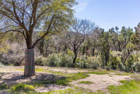 902 Yaupon Valley Road West Lake Hills TX 78746