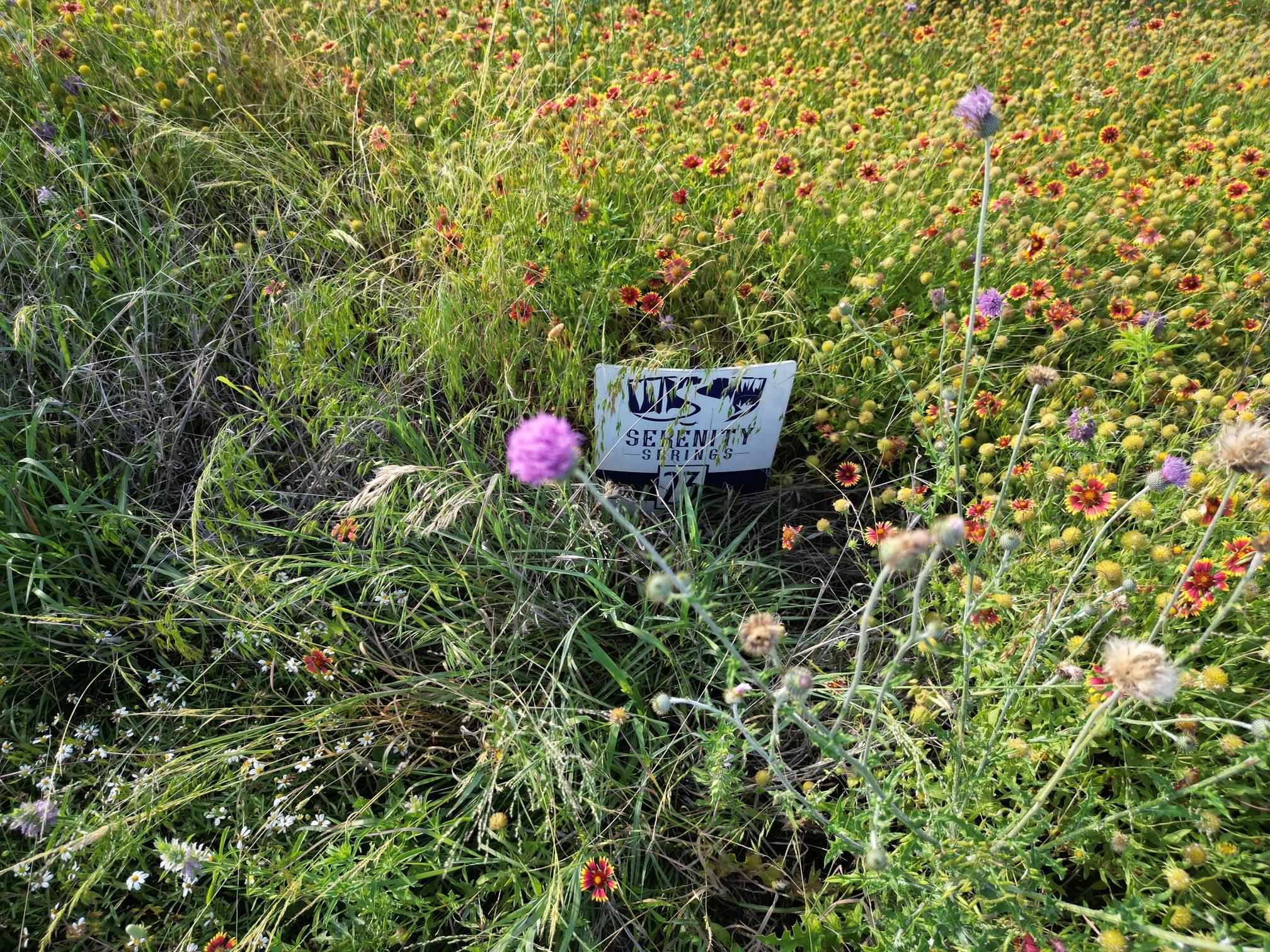 Lot 23 Serenity Drive Bertram TX 78605