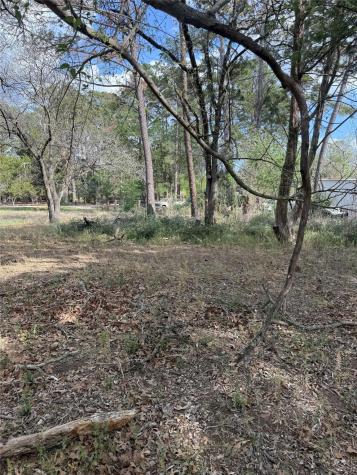 Lot 141 Pine Song Bastrop TX 78602