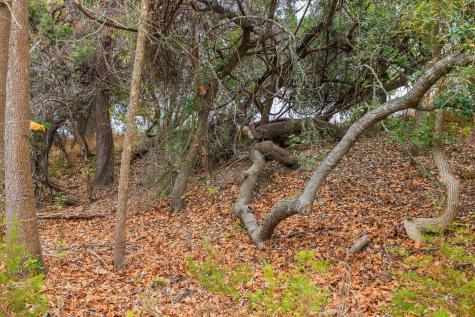 0 Ranch Road 965 Fredericksburg TX 78624