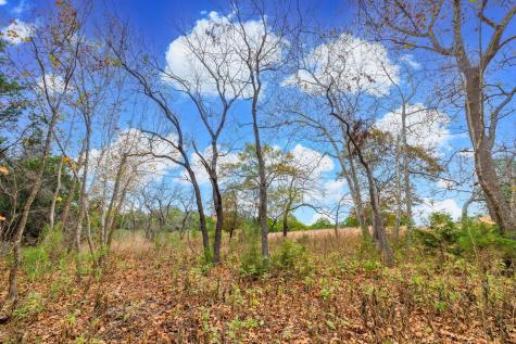 0 Ranch Road 965 Fredericksburg TX 78624