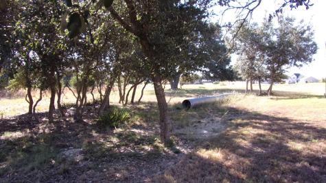 216 N Calvin Barrett Drive Blanco TX 78606