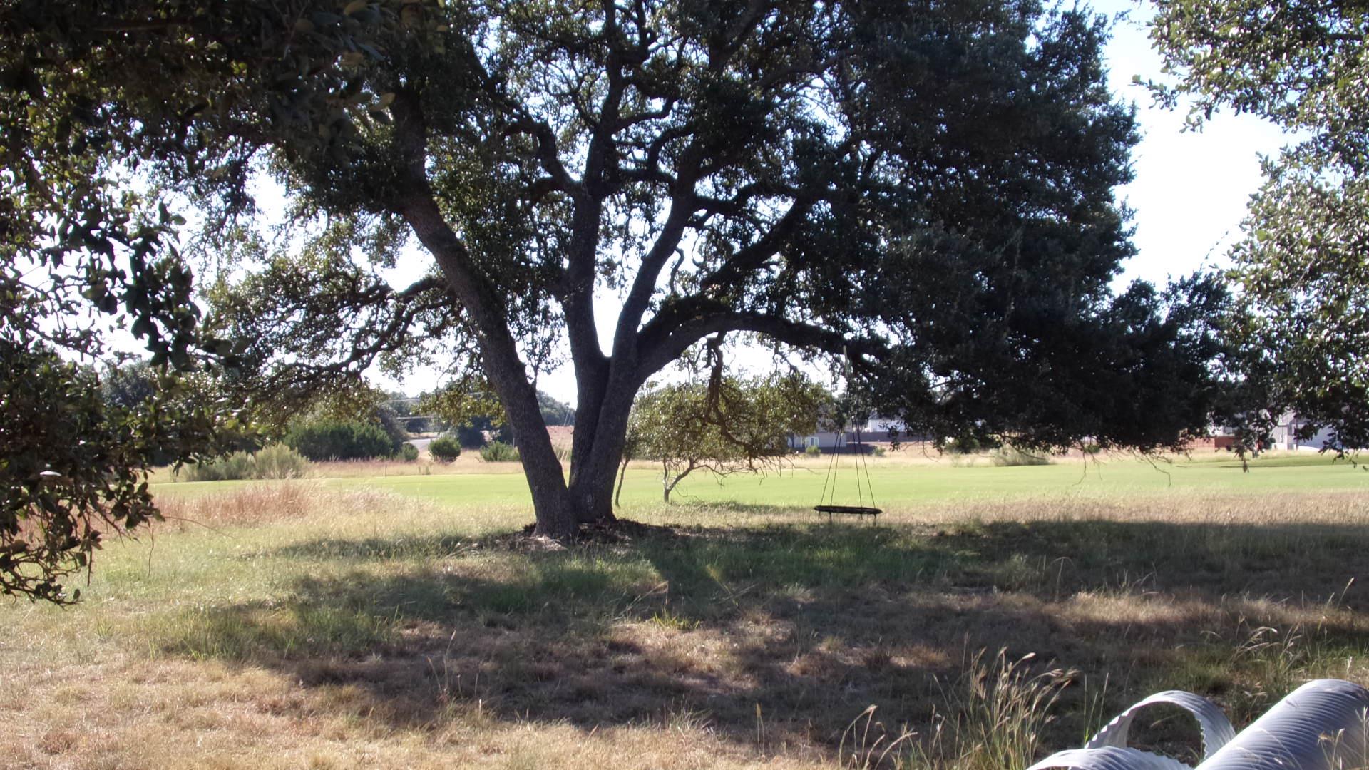 216 N Calvin Barrett Drive Blanco TX 78606