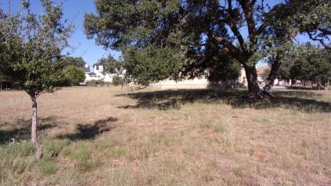 216 N Calvin Barrett Drive Blanco TX 78606