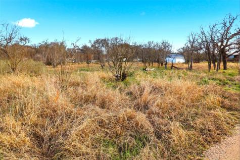 1304 Shady Forest Drive Granite Shoals TX 78654