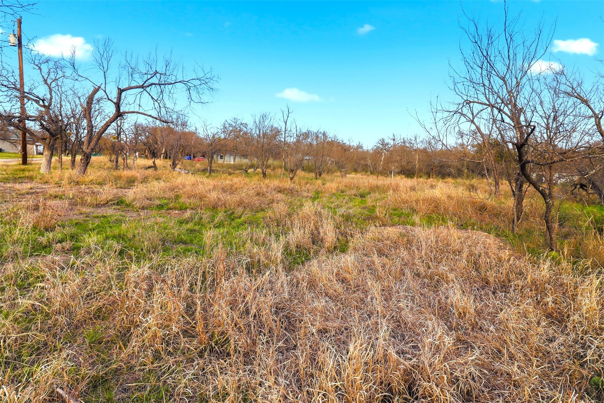 1304 Shady Forest Drive Granite Shoals TX 78654