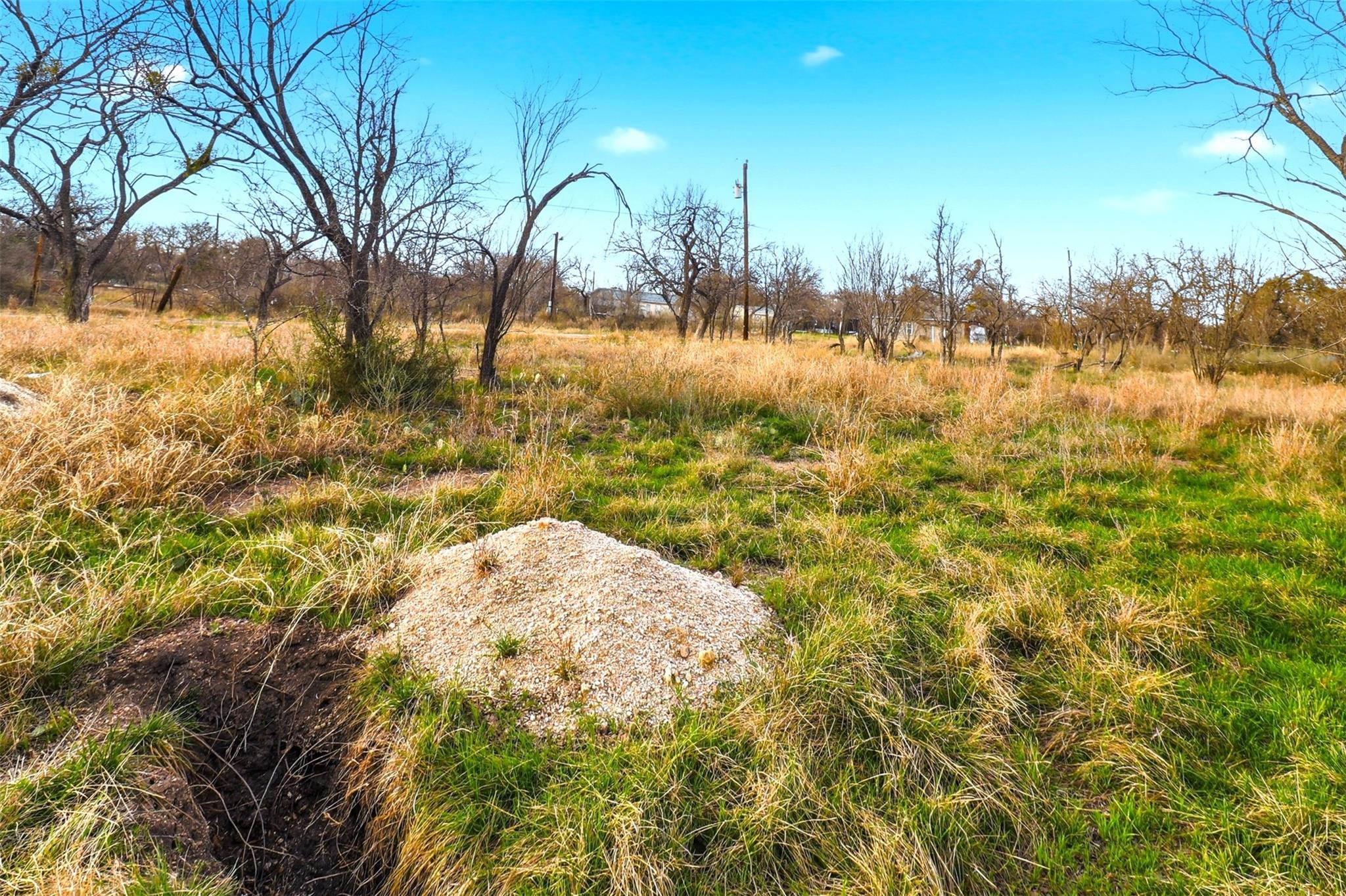 1304 Shady Forest Drive Granite Shoals TX 78654