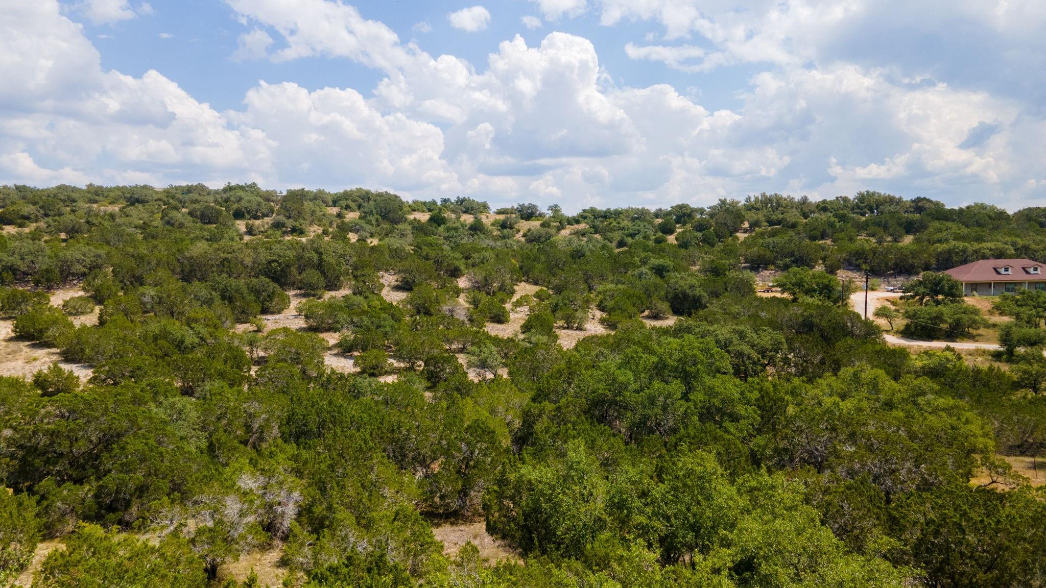 21114 Bertram Lane Spicewood TX 78669