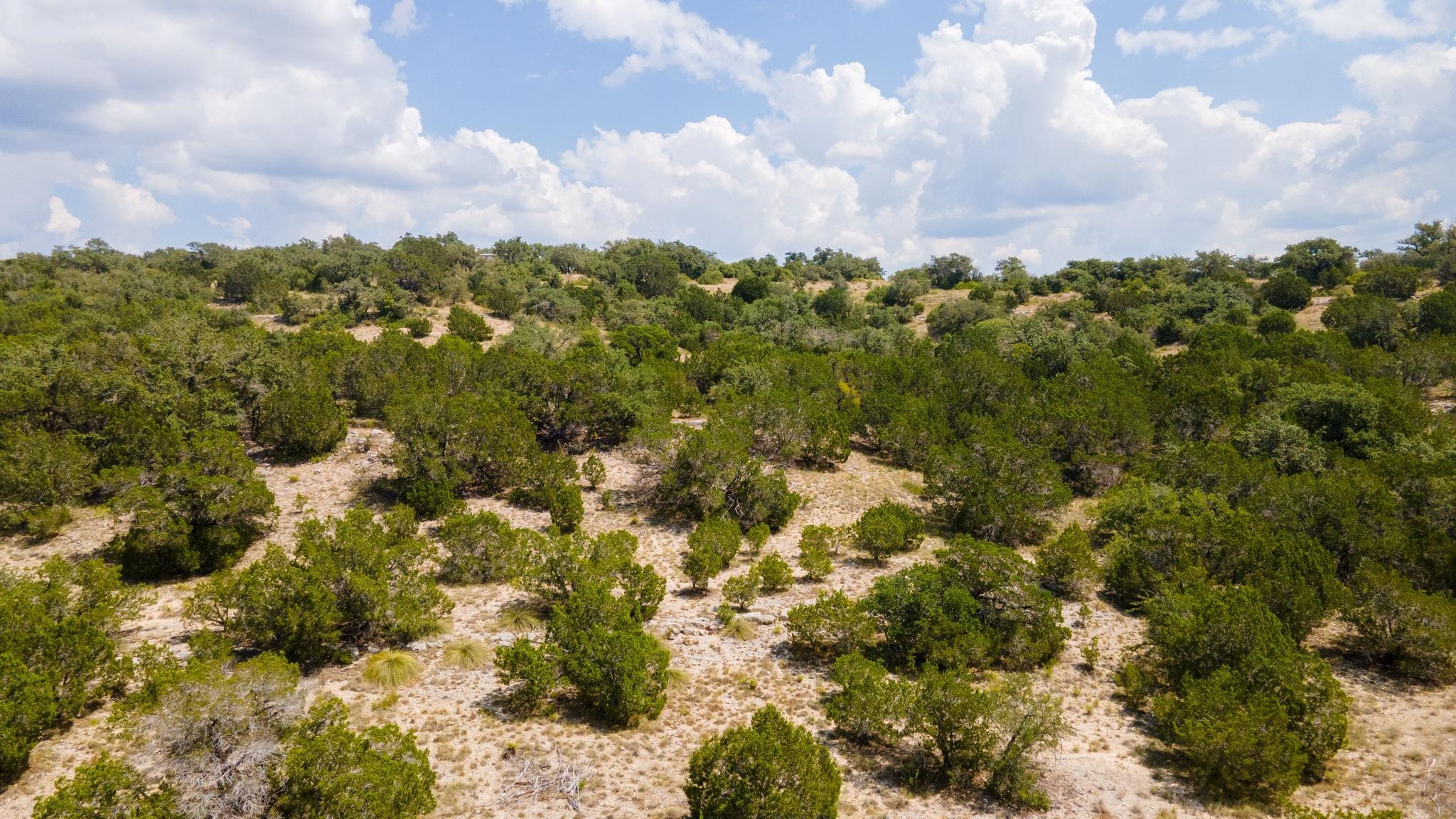 21114 Bertram Lane Spicewood TX 78669