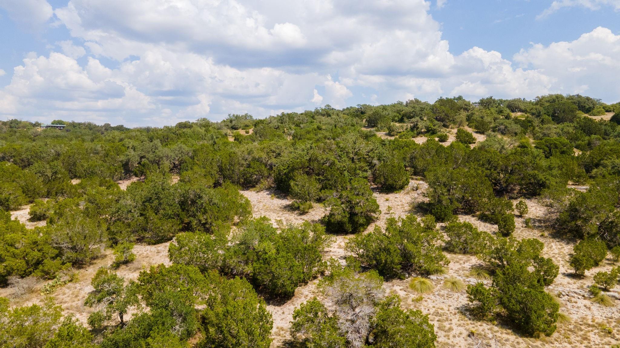 21114 Bertram Lane Spicewood TX 78669