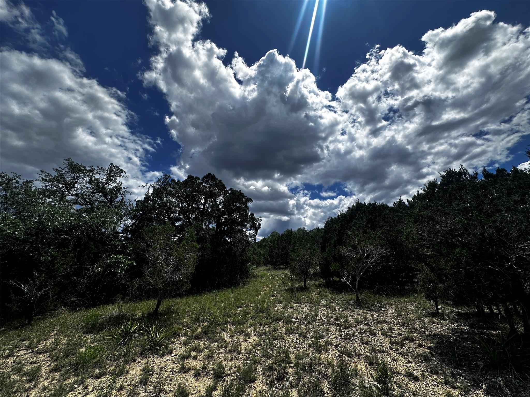 21114 Bertram Lane Spicewood TX 78669