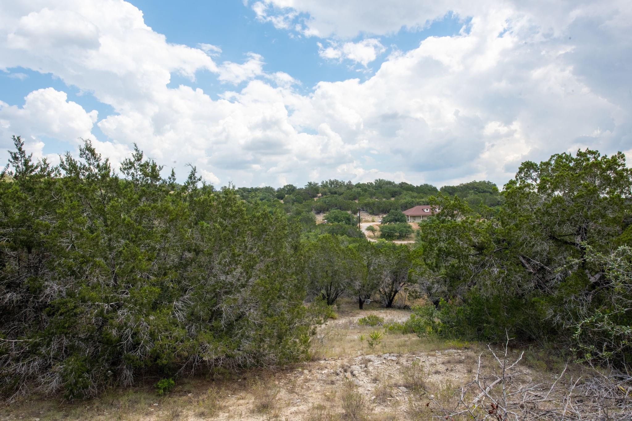 21114 Bertram Lane Spicewood TX 78669