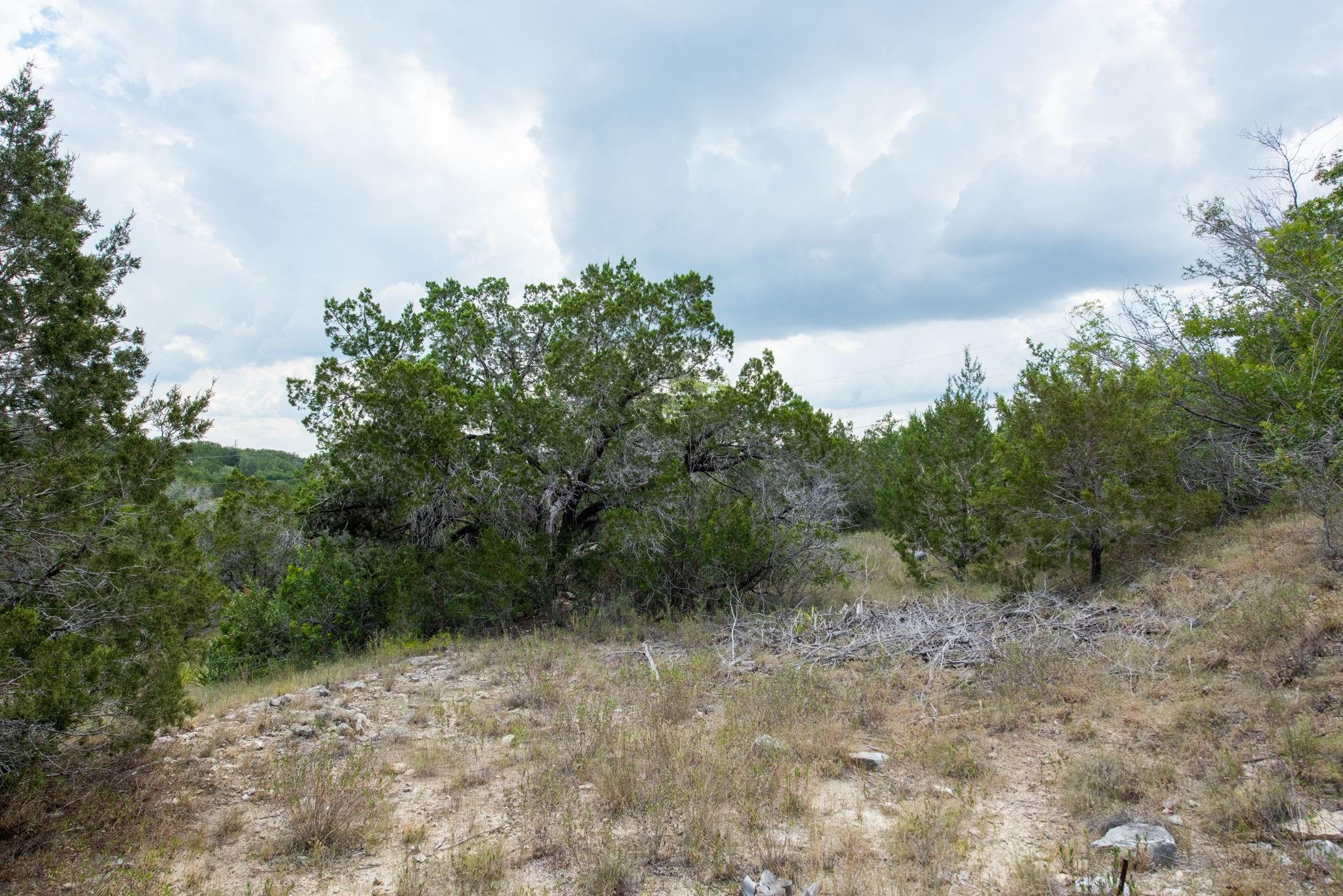 21114 Bertram Lane Spicewood TX 78669