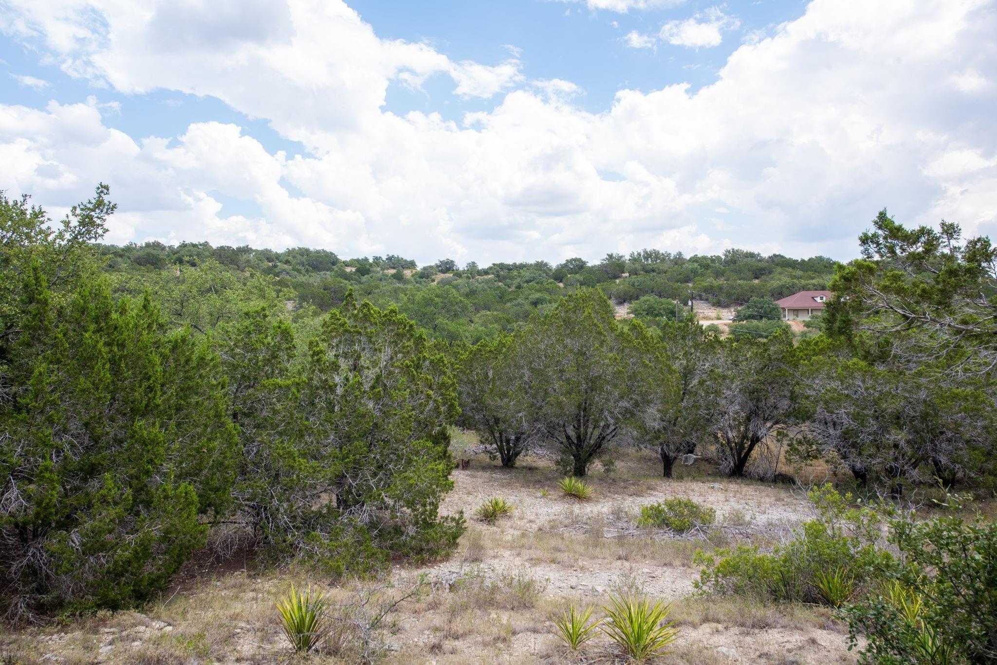 21114 Bertram Lane Spicewood TX 78669