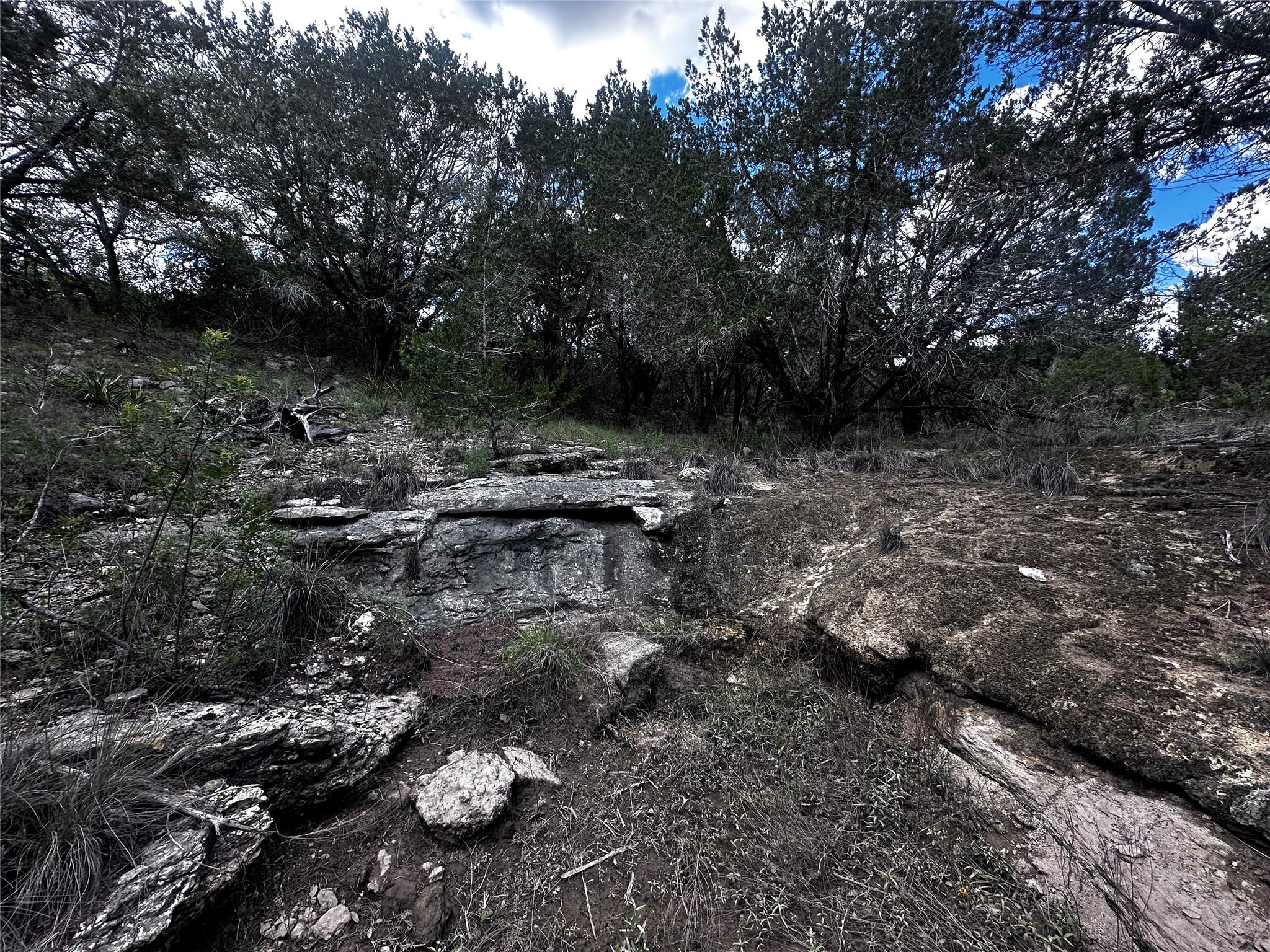 21114 Bertram Lane Spicewood TX 78669