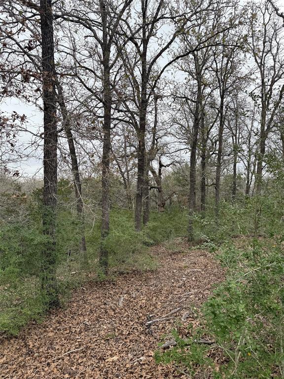 000 Wailupe Circle Bastrop TX 78602