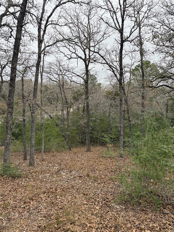 000 Wailupe Circle Bastrop TX 78602
