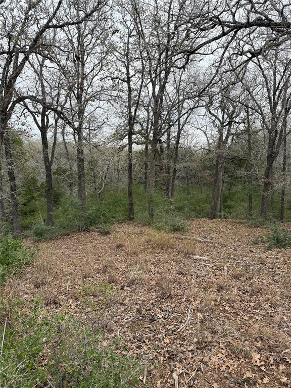 000 Wailupe Circle Bastrop TX 78602