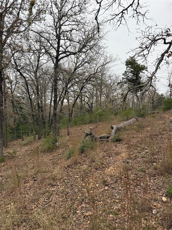 000 Wailupe Circle Bastrop TX 78602